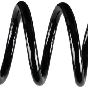 Arc spiral SACHS 993 855
