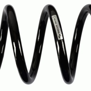 Arc spiral SACHS 994 660