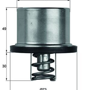 Termostat lichid racire MAHLE ORIGINAL TX 37 79 – BMW | AutoRival