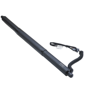 Amortizor portbagaj ASAM AUTOMOTIVE 100165 Amortizor portbagaj ASAM AUTOMOTIVE 100165 – imagine produs
