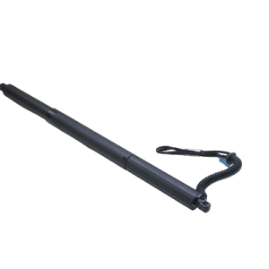Amortizor portbagaj ASAM AUTOMOTIVE 100166 – imagine produs