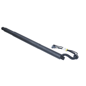 Amortizor portbagaj ASAM AUTOMOTIVE 100171 Amortizor portbagaj ASAM AUTOMOTIVE 100171 – imagine produs