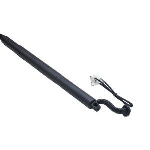 Amortizor portbagaj ASAM AUTOMOTIVE 100172 Amortizor portbagaj ASAM AUTOMOTIVE 100172 – imagine produs