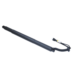 Amortizor portbagaj ASAM AUTOMOTIVE 100182 – imagine produs