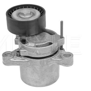 Intinzator curea distributie MEYLE 300 903 1125