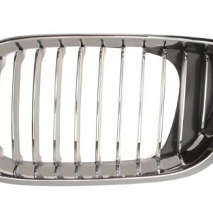 Grila radiator BLIC 6502-07-0061991PP