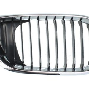 Grila radiator BLIC 6502-07-0061992AP