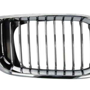 Grila radiator BLIC 6502-07-0061992PP