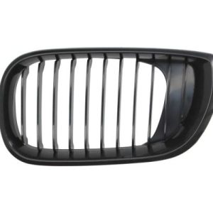 Grila radiator BLIC 6502-07-0061993BP