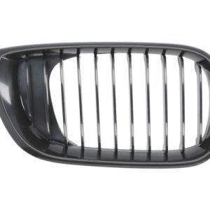 Grila radiator BLIC 6502-07-0061994BP