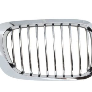 Grila radiator BLIC 6502-07-0061996PP