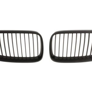 Grila radiator BLIC 6502-07-0062911KP