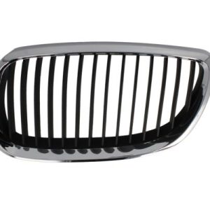 Grila radiator BLIC 6502-07-00629911P