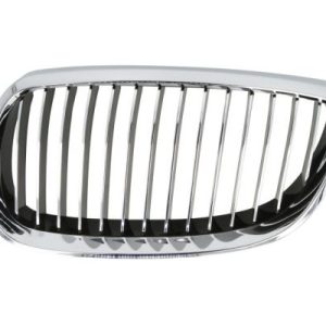 Grila radiator BLIC 6502-07-00629915P