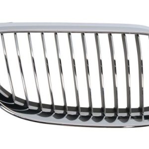Grila radiator BLIC 6502-07-00629916PP
