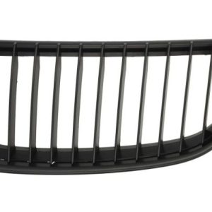 Grila radiator BLIC 6502-07-0062991GP