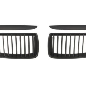 Grila radiator BLIC 6502-07-0062991KP
