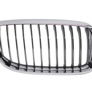 Grila radiator BLIC 6502-07-0062992AP