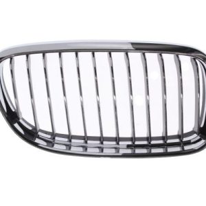 Grila radiator BLIC 6502-07-0062992PP