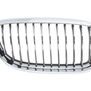 Grila radiator BLIC 6502-07-0062992PQ
