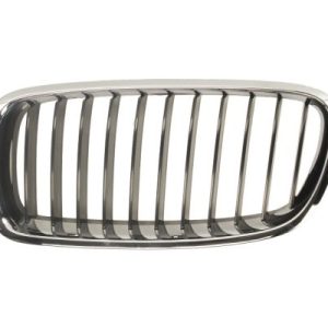 Grila radiator BLIC 6502-07-0063991P