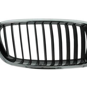 Grila radiator BLIC 6502-07-0063992P