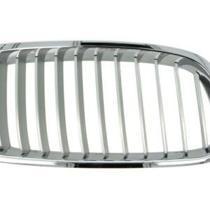 Grila radiator BLIC 6502-07-0063994P