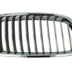 Grila radiator BLIC 6502-07-0063998P