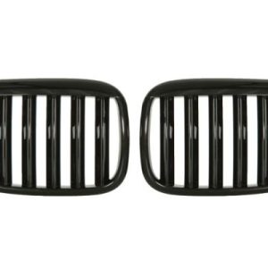 Grila radiator BLIC 6502-07-00659911KP