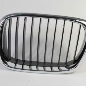 Grila radiator BLIC 6502-07-00659911P