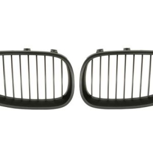 Grila radiator BLIC 6502-07-0066991KP