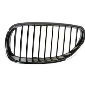Grila radiator BLIC 6502-07-0066991P