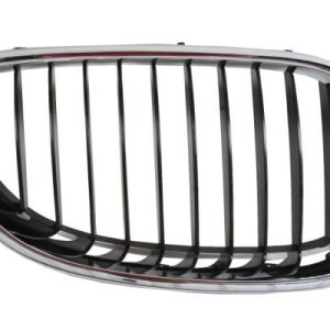 Grila radiator BLIC 6502-07-0066992P