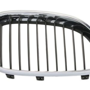 Grila radiator BLIC 6502-07-0066994P