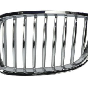 Grila radiator BLIC 6502-07-0067991GP