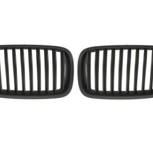 Grila radiator BLIC 6502-07-0067991KP