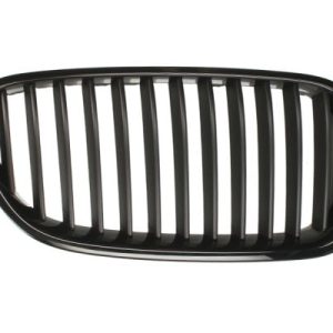 Grila radiator BLIC 6502-07-0067991P