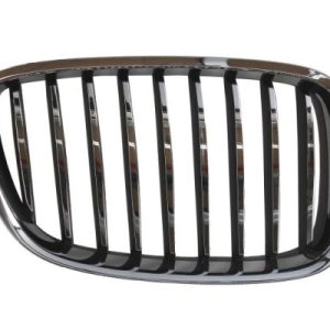 Grila radiator BLIC 6502-07-00679922P