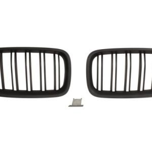 Grila radiator BLIC 6502-07-0067992KP