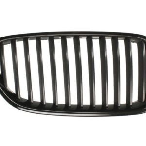 Grila radiator BLIC 6502-07-0067992P