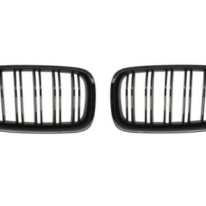 Grila radiator BLIC 6502-07-0067993KP
