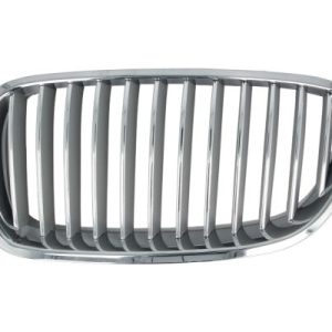 Grila radiator BLIC 6502-07-0067995P