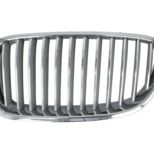 Grila radiator BLIC 6502-07-0067996P