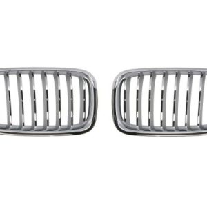 Grila radiator BLIC 6502-07-0067997BP