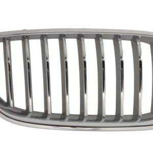 Grila radiator BLIC 6502-07-0067998CP