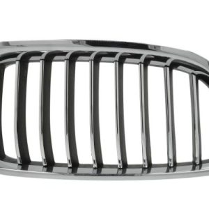 Grila radiator BLIC 6502-07-0067998P