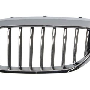 Grila radiator BLIC 6502-07-0068993P