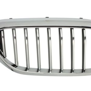 Grila radiator BLIC 6502-07-0068994P