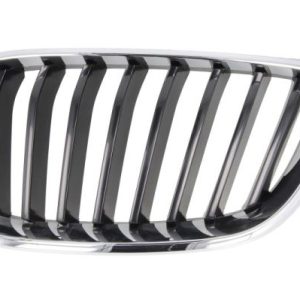 Grila radiator BLIC 6502-07-0069991P