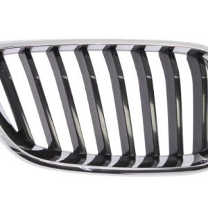 Grila radiator BLIC 6502-07-0069992P